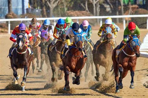 Corridas de Cavalos 